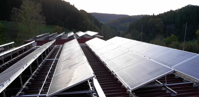 In Efringen-Kirchen soll bald eine  B...kraftpark im  Elztal  einsteigen will.  | Foto: kurt meier