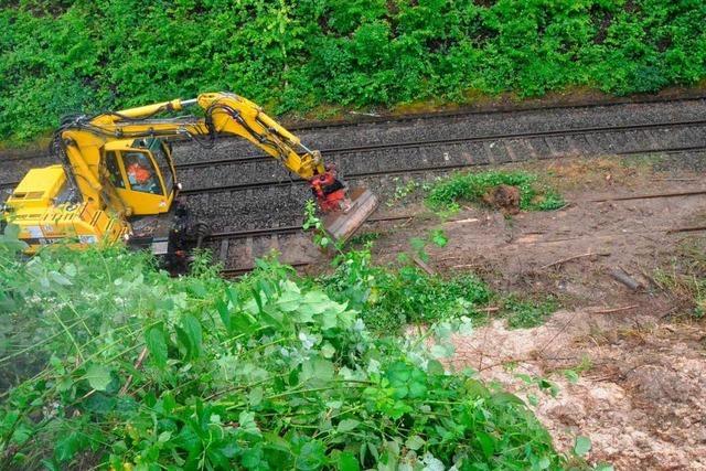 Fotos vom Unwetter bei Schwrstadt