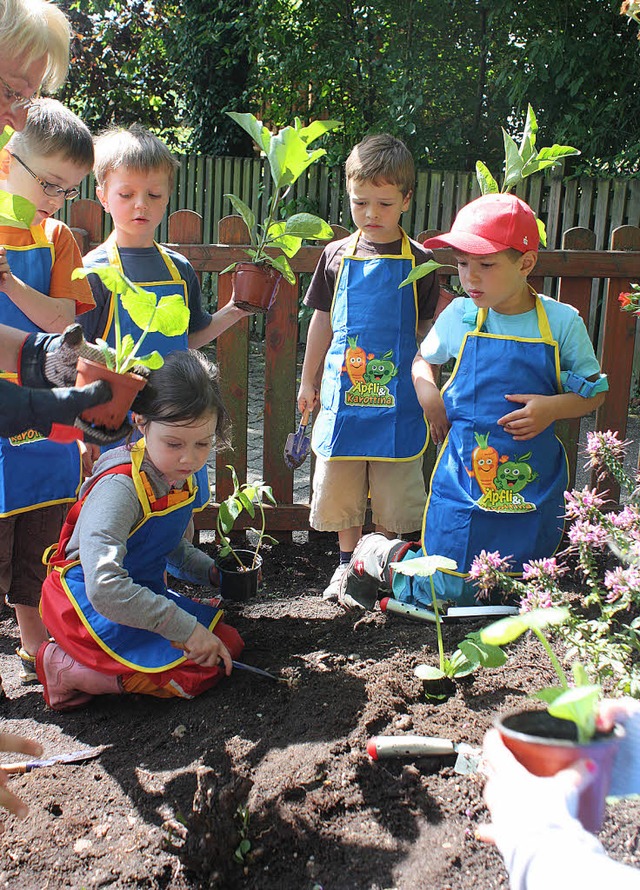Eifrig sind die Kinder dabei, Zucchini, Krbisse oder Sonnenblumen zu pflanzen.  | Foto: Hannah Klusmann
