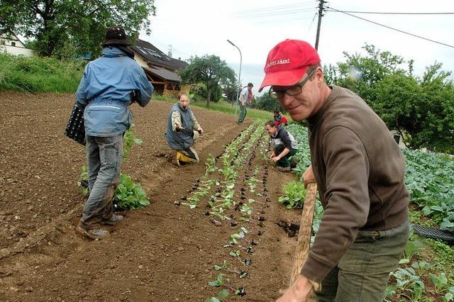 Hof Dinkelberg bei Wiechs: Landwirtschaft als Heilung