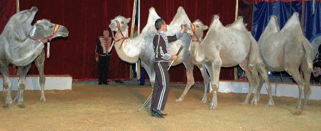 Tierdressuren gehren mit zum Markenzeichen des Circus Kaiser.   | Foto: OUNAS-KRUSEL
