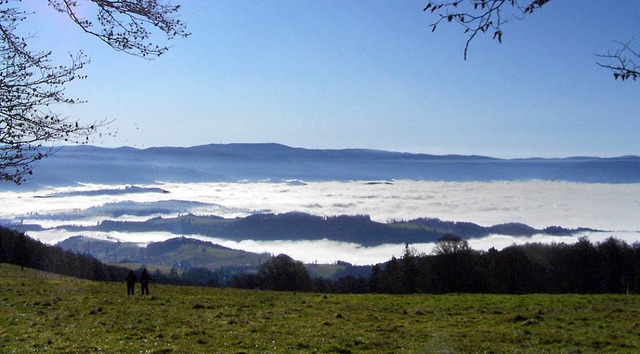 Den &#8222;Berg der Krfte&#8220; kann...h zusammen mit Kandelguides erkunden.   | Foto: Archivfoto: Sylvia Timm