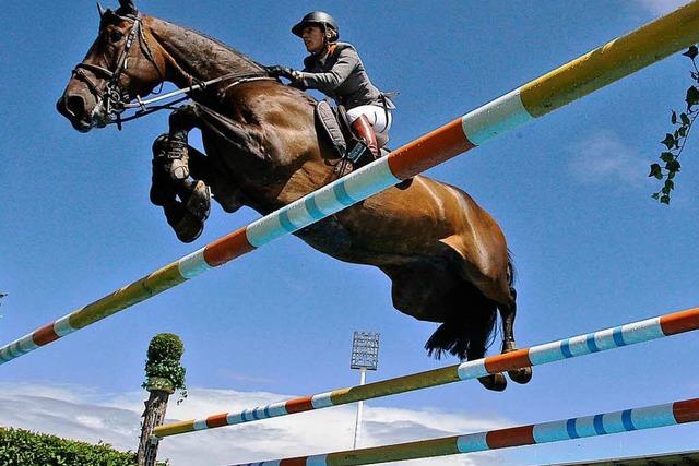 Deutsche Reiter fahren optimistisch zu Olympia