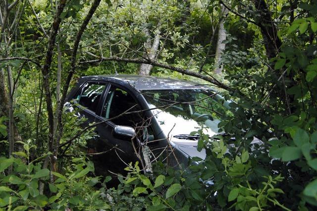 Auto auf Abwegen – ins Unterholz gerollt