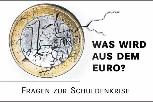 Was wird aus dem Euro? Leser fragen die BZ