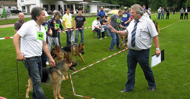 Scjhferhundverein Kandern  | Foto: Jutta Schtz