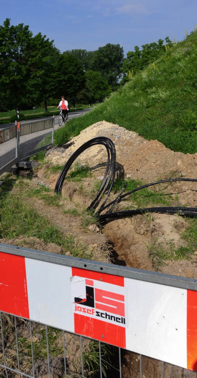 Das entlang der L 137 zwischen Efringe...lestrle berquert, abgebaut werden.   | Foto: langelott