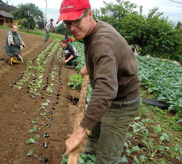 In langen Reihen pflanzen die Mitarbeiter Gemse.   | Foto: Regine Ounas-Krusel