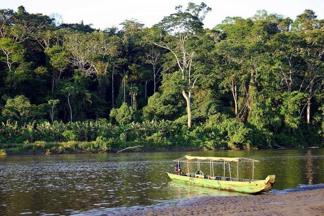 Am Amazonas: Abenteuer in der Hngematte