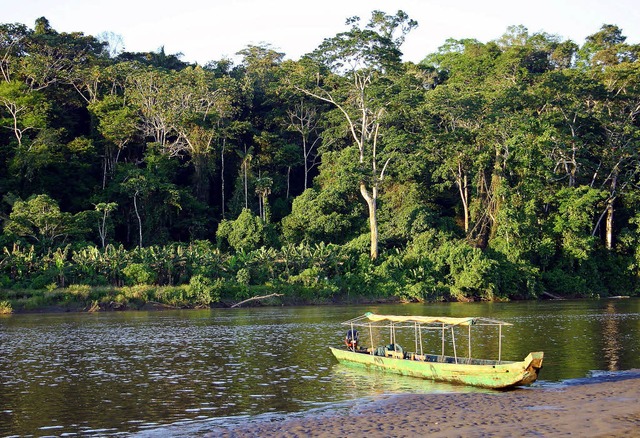 Am Amazonas  | Foto: Georg Alexander