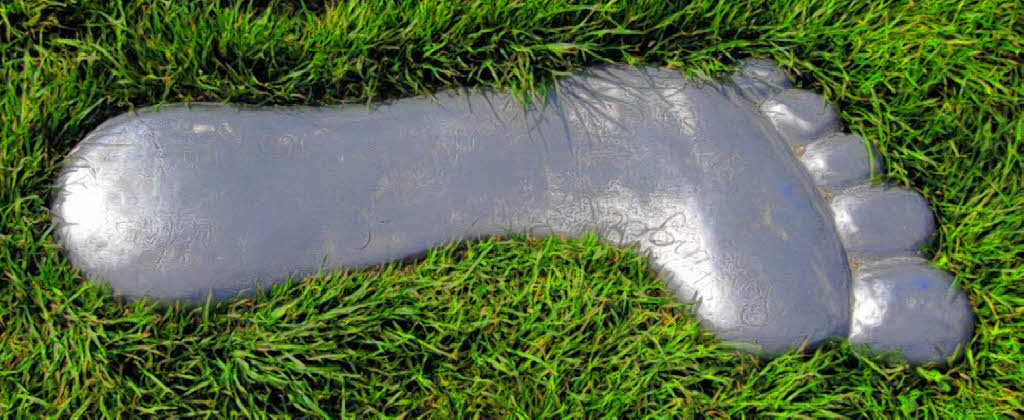 Leben auf zu großem Fuß Neuenburg Badische Zeitung