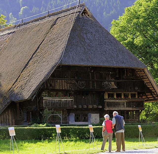 Schwarzwald alt: im Freilichtmuseum Vogtsbauernhof.   | Foto: Seeger