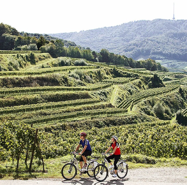 Wein und Radfahren &#8211; nur zwei As... ffentlicher Sitzung dem Konzept zu.   | Foto: Naturgarten Kaiserstuhl GmbH