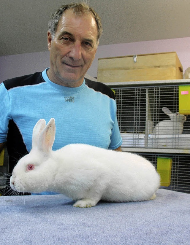 Unglaublich flauschig: Hermann Stecher mit einem Satin-Kaninchen  | Foto: Alexander Huber