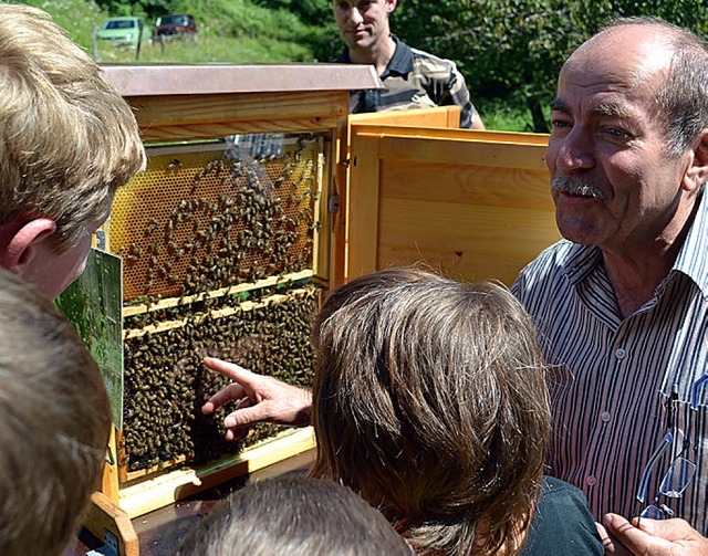 Groer Andrang am Schaukasten mit Honi...ndlin zeigte den Kindern die Knigin.   | Foto: paul berger