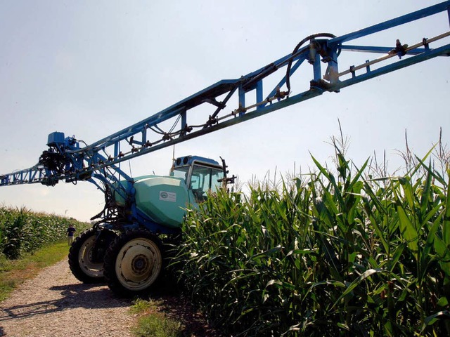 Ein Stelzenschlepper spritzt Pflanzenschutzmittel auf Mais.  | Foto: dpa