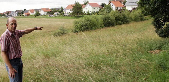 Ein Teil der im Flchennutzungsplan en...handenen Baum- und Heckenbestand hin.   | Foto: Wilfried Dieckmann