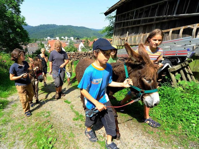 Immer ein Erlebnis: Spaziergang ber d...de mit den Eselinnen Rosalie und Laila  | Foto: Thomas Kunz