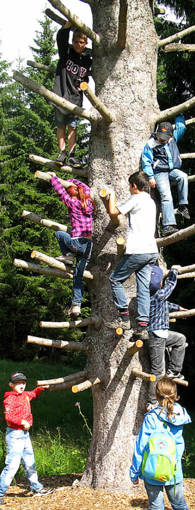 Ein Kletterbaum reizte zum Hinaufsteigen in die hchsten ste.   | Foto: Ulrike Spiegelhalter