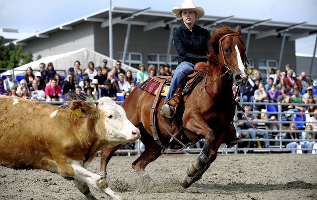 Westernreiten mit Vorfhrungen wie hie...zwei Jahre veranstalteten Eurocheval.   | Foto: Iris Rothe