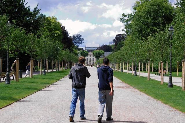 Verjngungskur fr die Orangerie