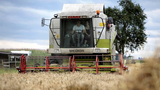 Die Landwirte nutzen die kurzen Sonnenphasen, um den Winterweizen zu dreschen.   | Foto: Christoph Breithaupt