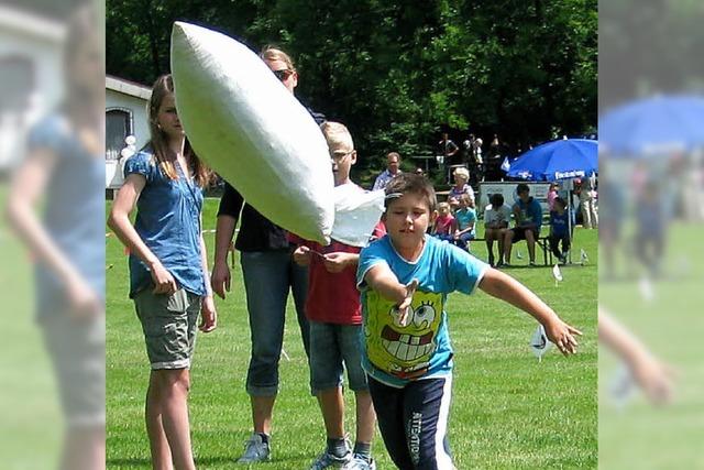 Cricket mit Zitronen