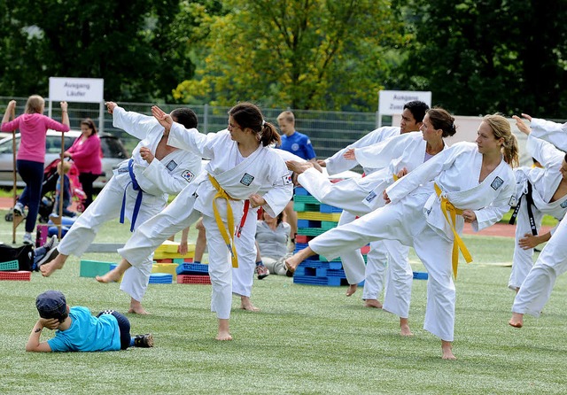 Mal mehr, mal weniger Bewegung: Karateka zeigen im Seeparkstadion klare Kante.  | Foto: Rita Eggstein