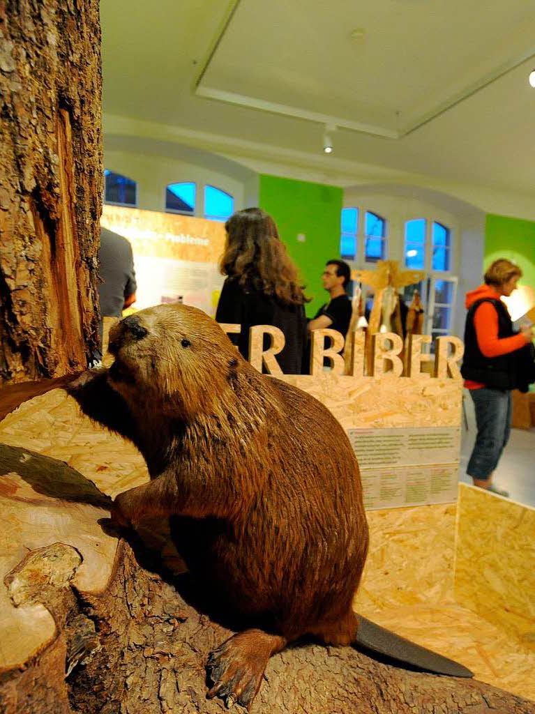 jedes Museum hat seine eigene Atmosphäre jedes Museum hat seine eigene Atmosphäre