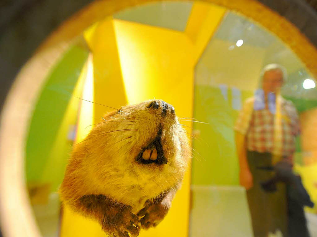 jedes Museum hat seine eigene Atmosphäre jedes Museum hat seine eigene Atmosphäre