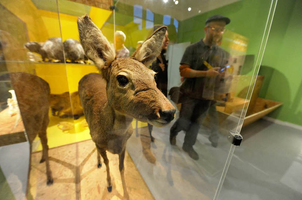 jedes Museum hat seine eigene Atmosphäre jedes Museum hat seine eigene Atmosphäre