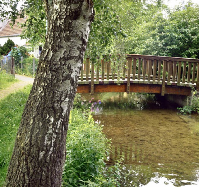 Romantisch, aber morsch: der Steg ber den Weidenbach in Wasser.  | Foto: Dieter Erggelet