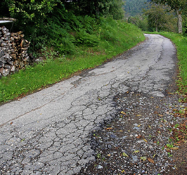 Desolater Zustand: eine Strae in Pfaffenberg   | Foto: heiner fabry