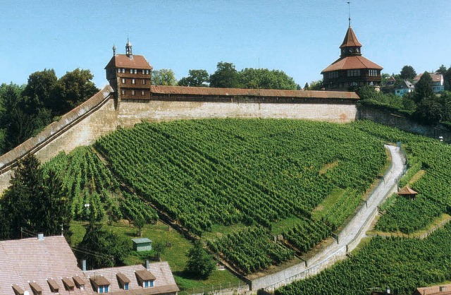 Das Wahrzeichen Esslingens: Die Burg hoch ber der Stadt   | Foto: Tourismus GmbH/Pichler