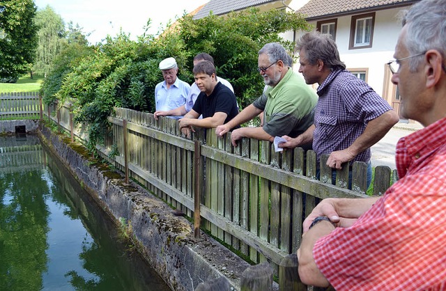 Wie lsst sich der Lschwasserteich zu...unalpolitiker beim Besuch in Gresgen.   | Foto: Berger