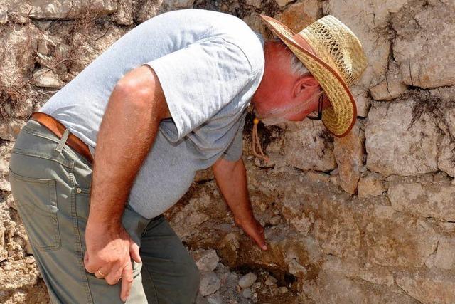 Archologen graben sich durch 800 Jahre Stadtgeschichte