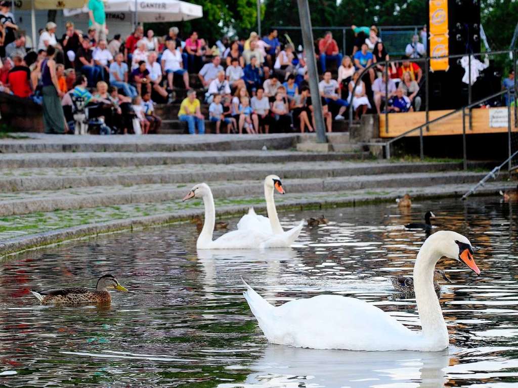 Seefest im Freiburger Seepark