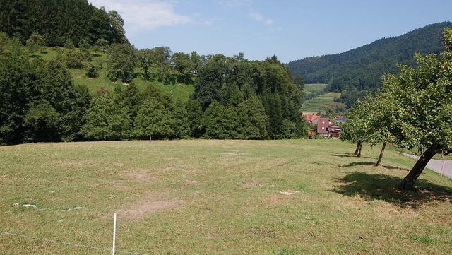 Platz zum &#8222;Huslebauen&#8220; so...ld hier im Gewann Heldhansenhof geben.  | Foto: Christian Ringwald