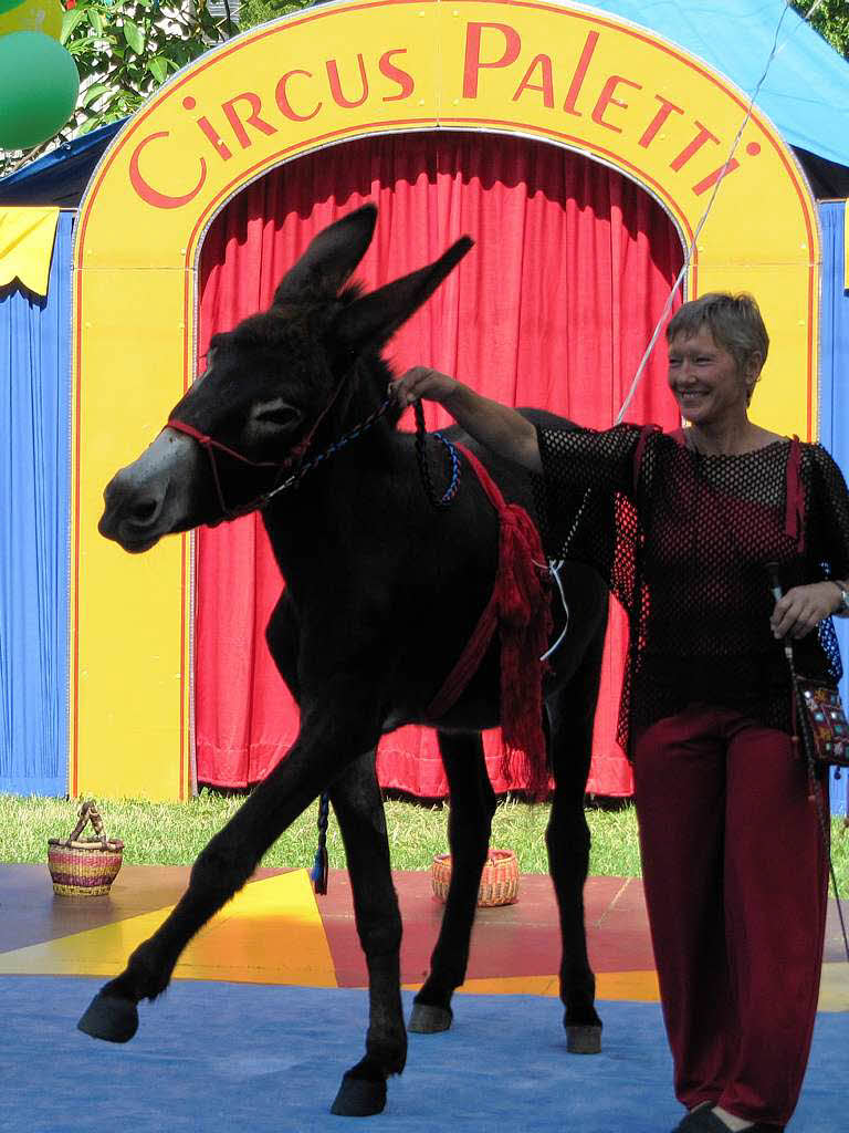 Gastspiel 2012 des Ettenheimer Amateur-Circus Paletti in Endingen: Eseldressur.