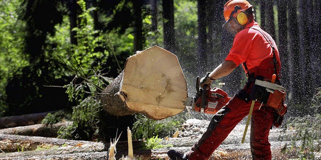 Ein Forstwirt zersgt in Bayern einen ... dem Beruf als gute Ausbildungssttte.  | Foto: dapd