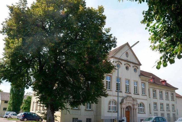 Alte Gerichtslinde in Schopfheim wird gefällt – Schadstoffe im Boden
