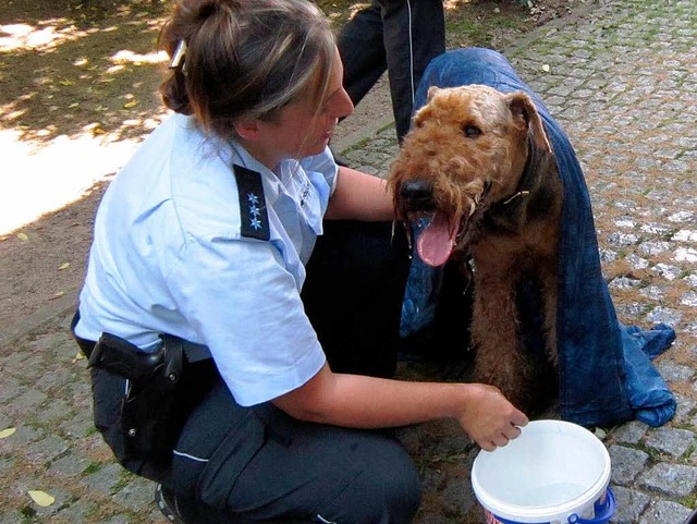 Eine Beamtin khlt den Airdale-Terrier auf Normal-Temperatur herunter.  | Foto: BZ