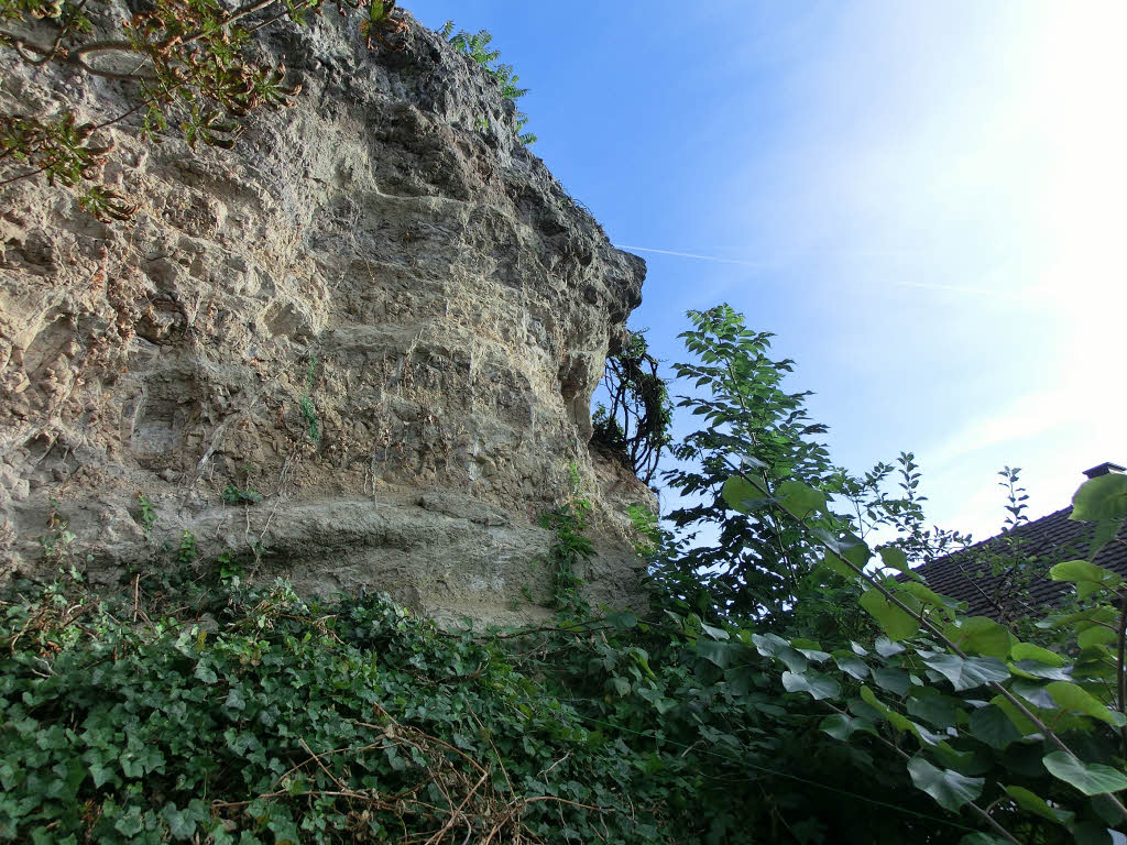 Breisach: Die Unglcksstelle in der Strae Marienau.