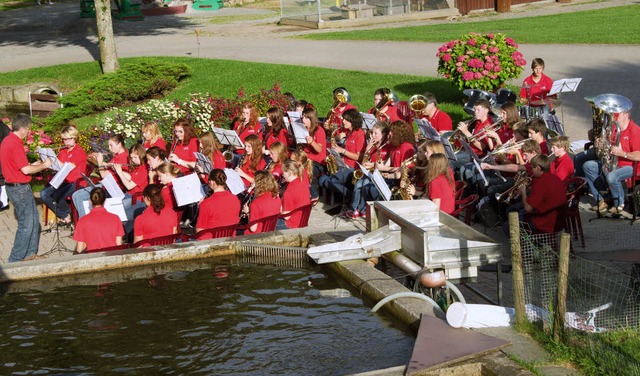 Die Blserjugend des Musikvereins in Aktion.  | Foto: Chris Seifried