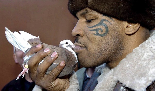 Hier zeigt der eiserne Mike Tyson sein... Seite: Er hat ein Faible fr Tauben.   | Foto: Fotos: dpa