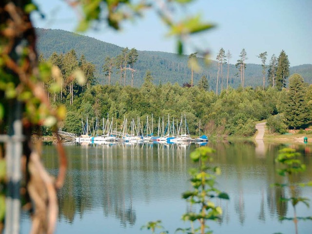 Am Schluchsee leidet die Idylle  nach ...chten, wenn Mll die Uferbereiche   zi  | Foto: Kathrin Blum