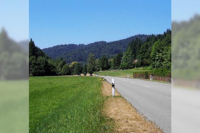 Der Radweg von Gnterstal nach Horben wird gebaut