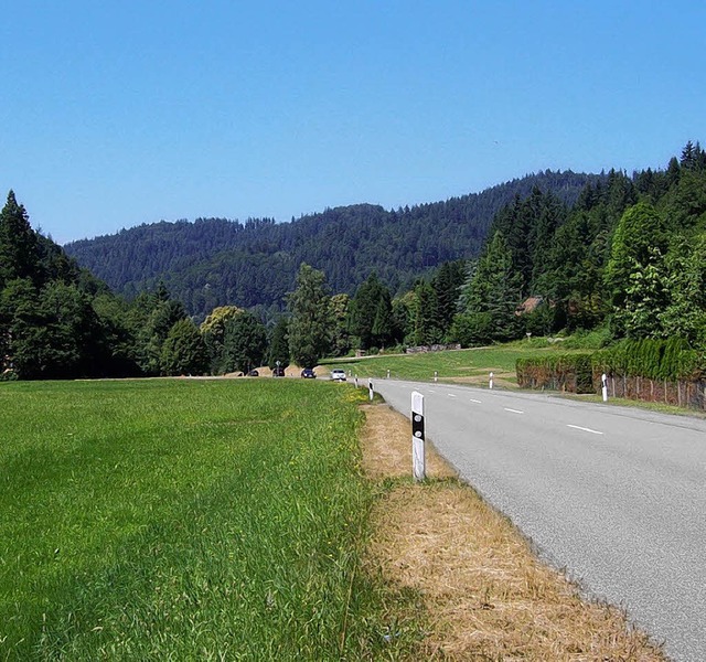 Neben der Schauinslandstrae wird knftig der neue Radweg verlaufen.   | Foto: privat