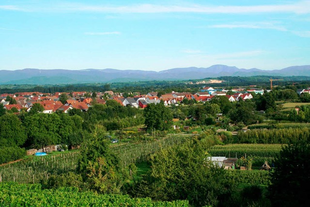 Am Sdwestrand des Winzerdorfs liegen ... 3 Hektar groes Wohngebiet entstehen.  | Foto: Elisabeth Jakob-Klblin