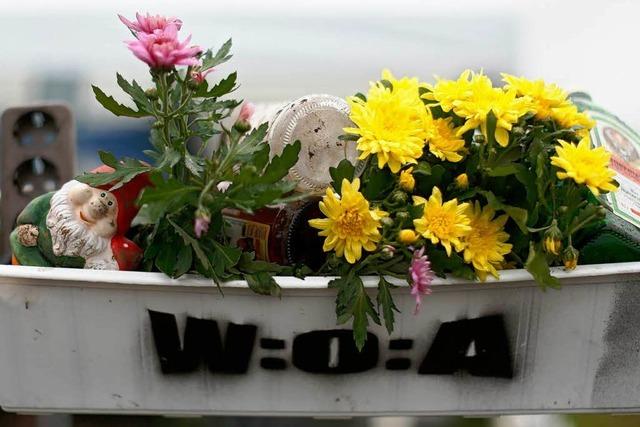 Mann stirbt auf Wacken-Festival an Kohlenmonoxid-Vergiftung